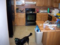 recovered_293377.JPG