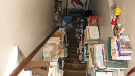 DSC05512.jpg