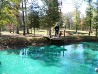 12-27-11 Best Pond Photo Ever.jpg