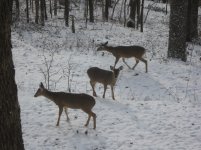 IMG_0068.jpg