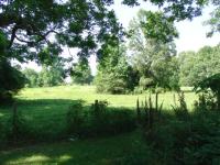 image-3914976438.png