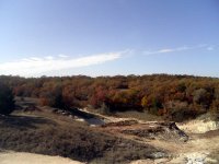 fallcolor_1.jpg