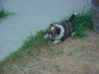 DSC06887.JPG