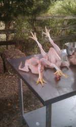 IMAG0139-resize.jpg