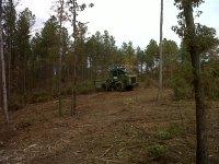 IMG-20111027-00134.jpg