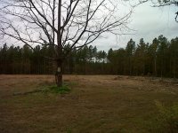 IMG-20111028-00140.jpg