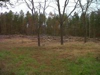 IMG-20111028-00141.jpg