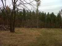 IMG-20111028-00142.jpg