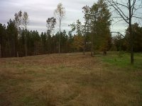 IMG-20111028-00144.jpg