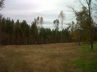 IMG-20111028-00143.jpg