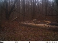 TC Lower Orchard 089.jpg