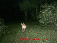 MDGC0001.JPG