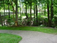 Yard08.JPG
