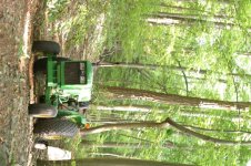 850-woods 72dpi.jpg
