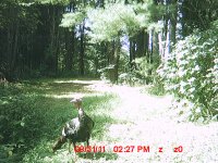 MDGC0014.JPG