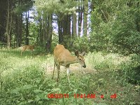 MDGC0008.JPG