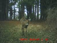 MDGC0015.JPG