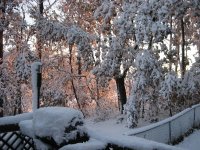 IMG_0108.jpg