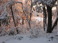 IMG_0113.jpg