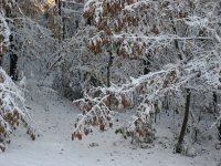 Drive Way Close Up.jpg