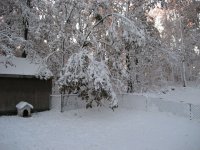 IMG_0109.jpg