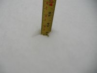 halloween 2011 snow 009.jpg