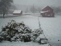 snow1 2011.jpg