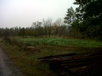 IMG-20111013-00084.jpg