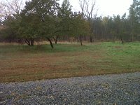 IMG-20111013-00085.jpg