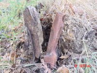 metal in stump 002.jpg