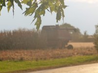 farming2011 002.jpg