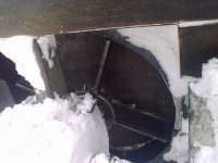 20110203075.jpg