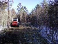 forestry cutter3.JPG