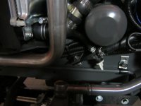 horn5.JPG