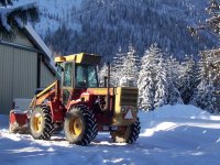 Winter 12-08 006 s.jpg