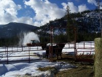 Snow Removal March 2011 022 s.jpg
