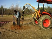 Temp pasture day 1-1.jpg