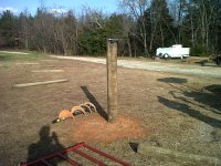 Temp pasture day 1-3.jpg