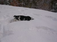 DSCN1044.JPG