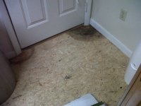 Floor During 1.jpg