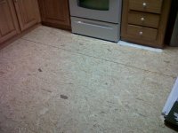 Floor During 3.jpg