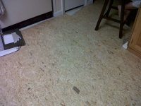 Floor During 4.jpg