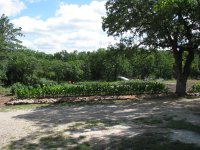 FlowerBeds-01.jpg