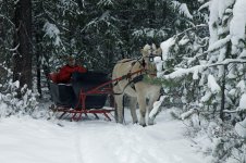 sleigh 2.jpg