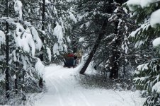 sleigh 5.jpg