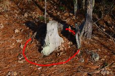 lighter-stump-20111231.jpg