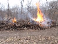 1st Fire (2) (Large).JPG