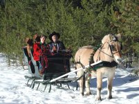 sleigh1.jpg