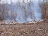 1st Fire (5) (Large).JPG
