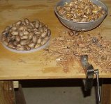 Nut Cracking 2-20-08.jpg